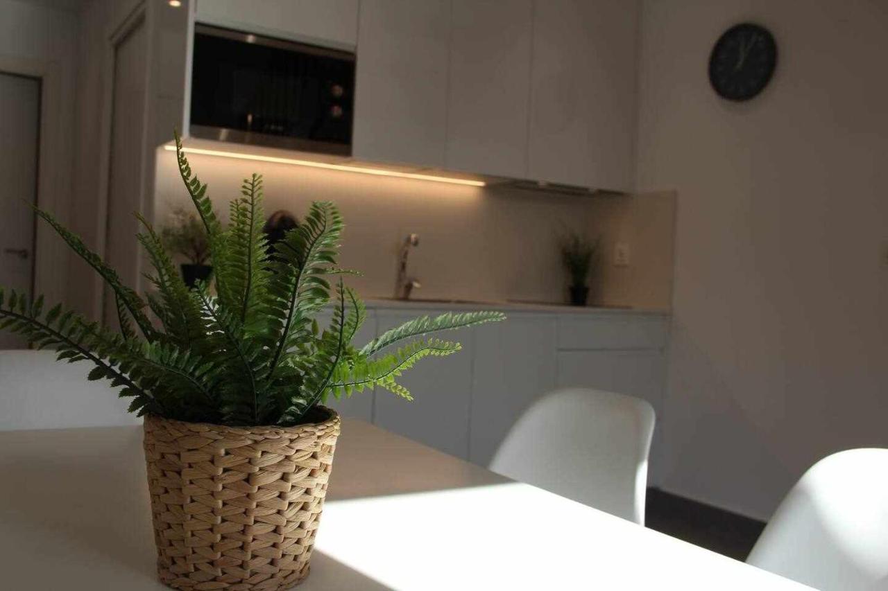לסו Apartamentos Rurales Patxillaborda Eki מראה חיצוני תמונה